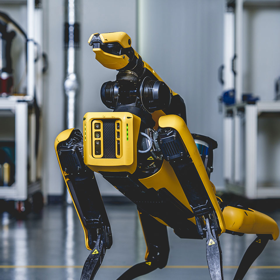 Boston Dynamics Spot the Dog